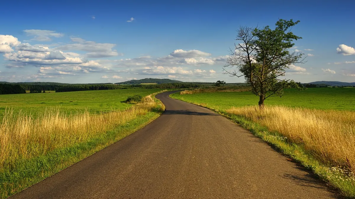How to Report a Fallen Tree or Flooded Road to Highland Council